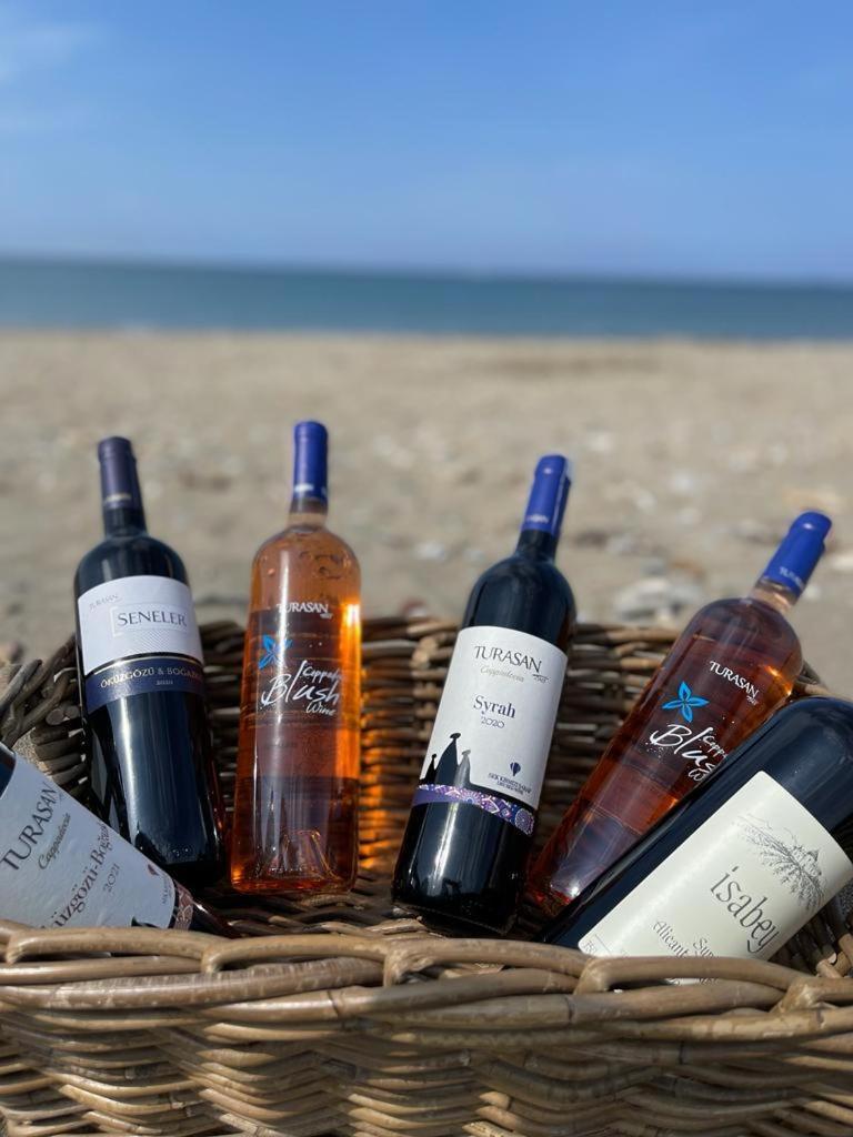 גומולדור Colophon Beach Otel מראה חיצוני תמונה